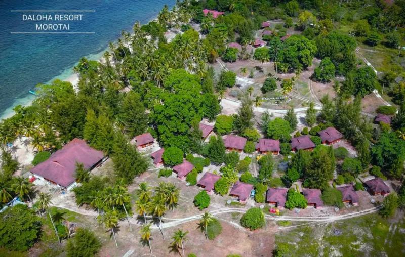 Daloha Beach & Dive Resort